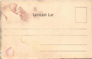 Zólyom, Zvolen; Zólyomfüred (Füred), Boróka-erdő kastély. Nádosy Ferenc kiadása / Borováhora (Borová...