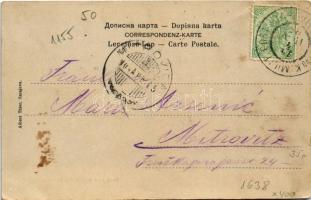 1904 Sarajevo, Blick vom Balkon des Rathauses / view from the town hall's balcony (EB)