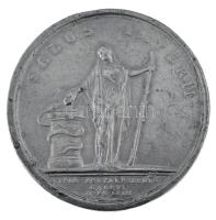 Franciaország 1658. "XIV. Lajos Calais-i gyógyulására" Sn emlékérem. Szign: I. Mauger (22,...