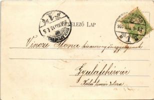 1904 Kolozsvár, Cluj; Igazságügyi palota. Stief Jenő és társa kiadása / Palaces of Justice (EK)