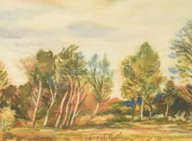 Bóka Dezső (1935-): Tarnócai táj, 1979. Akvarell, papír, jelezve jobbra lent. Hátoldalán Képcsarnok ...