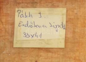 Pákh János (működött a XX. században, kárpátaljai magyar festő): Kárpátaljai táj. Olaj, vászon, jele...