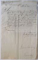 1810 Helytartótanácsi levél 
Brunswick József országbíró, Pest megye főispánja, Latinovits János kir...