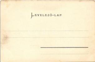 Torda, Turda; Vármegyeház, Kossuth tér. Undy Domokos kiadása / county hall, square (fl)