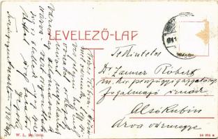 1911 Turócszentmárton, Turciansky Svaty Martin; Városház, megyeház, lovas hintó, Bindfeld Ármin üzle...