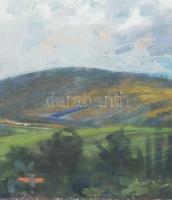 Ősz Dénes (1915-1980): Dobogókő (Dunapart), 1950-es évek. Olaj, vászon, jelezve jobbra lent. Hátolda...