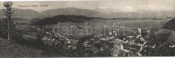 Passail panoramacard