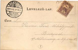 1900 Budapest XI. Kamaraerdő, Kamara-Erdő; Mártha villa (EK)