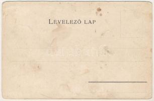 Temes vármegye térképe. Kiadja Károlyi Gy. / Map of Timis county (EB)