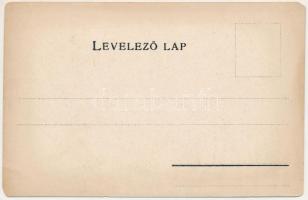 Tolna vármegye térképe. Kiadja Károlyi Gy. / Map of Tolna county (EM)