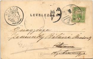 1905 Budapest XI. Kelenföld. Weisz Salamon kiadása (EB)