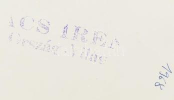 cca 1968 Ács Irén (1924-2015): Illyés Gyula (1902-1983) Kossuth-díjas költő, író műfordító fotója, a...