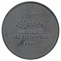 NDK 1976. "Az erlai vasmű 25. évfordulója 1951-1976" nagyméretű Fe emlékplakett (128mm) T:...