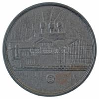 NDK 1976. "Az erlai vasmű 25. évfordulója 1951-1976" nagyméretű Fe emlékplakett (128mm) T:...