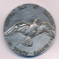 Vatikán ~1970-1975. "VI. Pál pápa" jelzett Ag emlékérem. Szign.: Emilio Greco (47,63g/0.80...