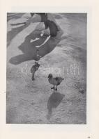 Kankowszky [Tamás], Thomas (szerk.):
Kamera und Kunst. Zusammengestellt und im Auftrage des ,,Lande...