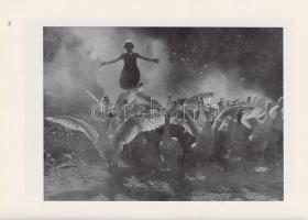 Kankowszky [Tamás], Thomas (szerk.):
Kamera und Kunst. Zusammengestellt und im Auftrage des ,,Lande...