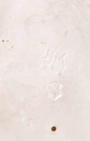 cca 1900, Nymphenburg porcelán: Columbina figurája. A Commedia Dell'arte sorozatból. Terv: F. A...