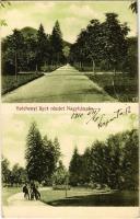 1910 Nagybánya, Baia Mare; Széchenyi liget. Kovács Gyula kiadása / park