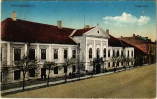 1915 Sátoraljaújhely, Megyeháza. Vasúti Levelezőlapárúsítás 8 sz.-1915. (Rb)