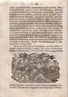 A' keresztyén Anyaszentegyház Történetei a' Protestáns Oskolák' és Családok' szá...