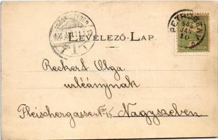 1905 Petrozsény, Petrosani; Részlet a Paringról, menház. Herz Arnold kiadása / tourist rest house