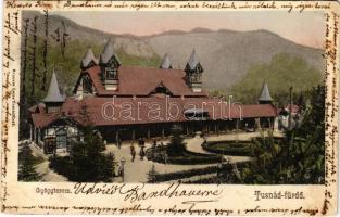 1904 Tusnád-fürdő, Baile Tusnad; gyógyterem. Brunner Lajos kiadása / spa (EK)