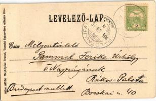 1904 Tusnádfürdő, Baile Tusnad; Apor bástya. Adler Alfréd / Karlshöhe / bastion tower (EK)