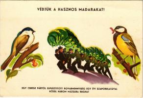 Védjük a hasznos madarakat! Egy cinege pártól elpusztított rovarmennyiség egy évi szaporulatával közel három mázsára rúghat. Mezőgazdasági propaganda, Klösz György és fia / Protect the useful birds! Hungarian agricultural propaganda (fl)