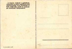 Védjük a hasznos madarakat! Egy cinege pártól elpusztított rovarmennyiség egy évi szaporulatával köz...