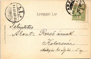 1905 Arad, Andrássy tér, Szentháromság szobor, Andrényi Károly és fia vaskereskedése, Stern M., Schw...