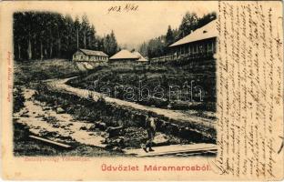 1903 Tótosbánya, Totos (Budfalva, Budesti, Máramaros); Zserampó-völgy, aranybánya. Berger Miksa kiadása / valley, gold mine