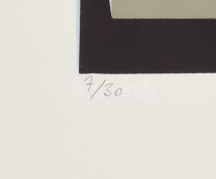 Halász Szabó Sándor (1920-1997): Kompozíció. Szitanyomat, papír, jelzett, számozott (7/30), üvegezet...