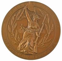 Franciaország DN Belügyminisztérium / Maine-et-Loire prefektúra bronzozott fém emlékérem (80mm) T:AU France ND Ministere de LInterieur / Prefecture de Maine-et-Loire bronzed metal commemorative medallion (80mm) C:AU