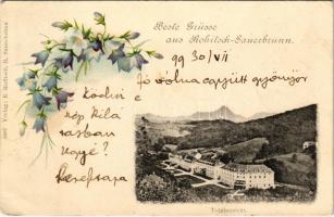 1899 (Vorläufer) Rogaska Slatina, Rohitsch-Sauerbrunn; Totalansicht / general view, spa. Floral, litho (EK)