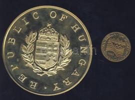 DN "Országos Testnevelési és Sporthivatal" nagyalakú piefort (vastag) aranyozott emlékérem...