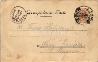 1898 (Vorläufer) Cheb, Eger; Waldrestaurant Insel Mühlerl / forest restaurant. Verlag Georg Löw (wet...