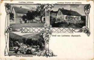 Lichtenau (Spessart, Rothenbuch), Hotel u. Sommerfrische, Forsthaus Lichtenau, Forsthaus Erlenfurt / forestry, forester's house, hotel and holiday resort. Art Nouveau, floral (EM)