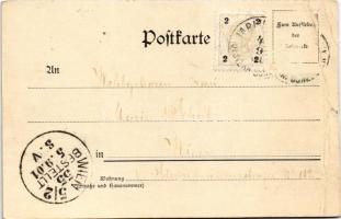 1901 Jablunkov, Jablunkau; Ringplatz. Verlag Anton Ausschwitzer / square, shops of Moritz Fraenkel, ...