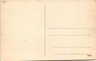 Sztrecsnó, Sztrecsény, Strecno (Ruttka, Vrútky); Strecsnó vár romja a Vág mellett / Burg-Ruine Strec...