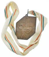 1989. "Műrepülő EB Békéscsaba '89 - női csapat" ezüstözött fém díjérem szalagon (83x6...