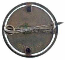 Képíró Zoltán (1944-1981) 1979. "MÉE - Keszthelyi Csoport 10 éves" Ag emlékérem kitűzős ke...