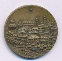 Németország / Weimari Köztársaság / Nürnberg 1923. "Nemzetközi Eszperantó Kongresszus" ara...