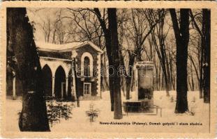 1917 Pulawy, Nowo Aleksandrija (Nowa Aleksandria); Domek gotycki i stara studnia / gothic house and old well in winter (fl)