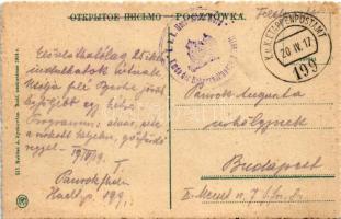 1917 Pulawy, Nowo Aleksandrija (Nowa Aleksandria); Domek gotycki i stara studnia / gothic house and ...