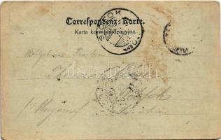 1899 (Vorläufer) Tarnów, Ogólny widok / night (fl)