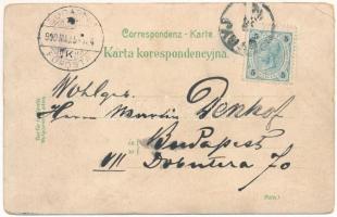 1900 Stryi, Stryj, Strij; Kreis-Gericht, Ruth. Kirche, Eisenbahnbrücke über dem Stryj Flusse, Röm. k...