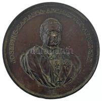 1898. "Samassa József egri érseki székre emelésének 25. évfordulója" kétoldalas, öntött bronz emlékérem (60mm) T:AU patina, ph /  Hungary 1898. "Archbishop Joseph Samassa from Eger" double-sided, cast commemorative bronze medallion (60mm) C:AU patina, edge error