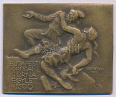 Reményi József (1887-1977) 1937. Budapesti Budai Torna Egylet 1869 bronz emlékplakett, hátoldalon 1937 gravírozással, LUDVIG gyártói jelzéssel (50x62mm) T:AU  HP 2210.