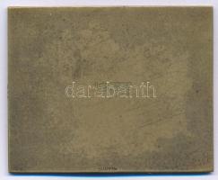 Reményi József (1887-1977) 1937. "Budapesti Budai Torna Egylet 1869" bronz emlékplakett, h...